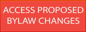 Vote on Proposed Changes to The IIA’s Bylaws
