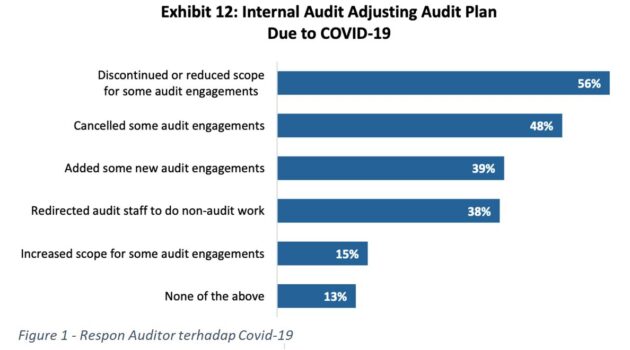adjust_audit_plan