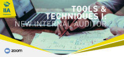 [ONLINE] Tools & Techniques I: New Internal Auditor | 07-10 Feb 2022