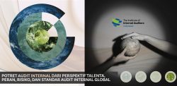 Potret Audit Internal Dari Perspektif Talenta, Peran, Risiko, Dan Standar Audit Internal Global