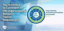 Organizational Behavior Topical Requirement