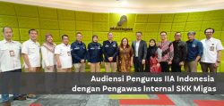 Audiensi Pengurus IIA Indonesia dengan Pengawas Internal SKK Migas