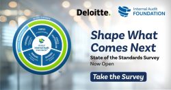 Provide Feedback on Standards and Topical Requirements